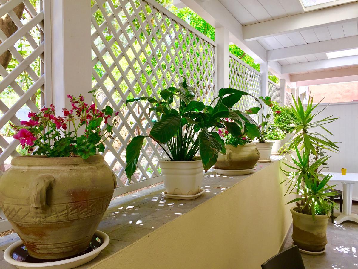 サッサリ Angioy 18 Bed & Breakfast エクステリア 写真